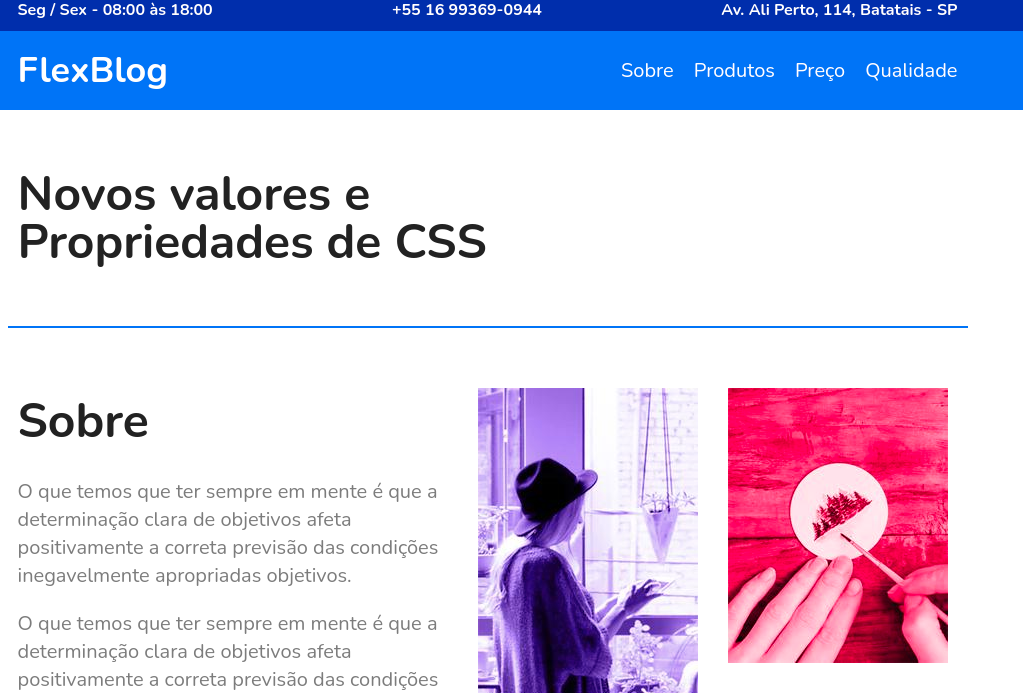 Flexblog Image